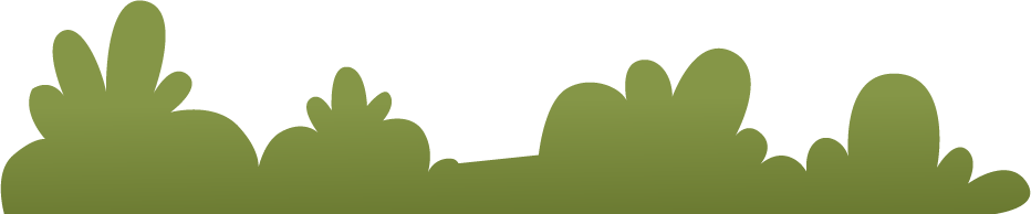 Bush